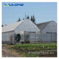 Greenhouse multi-span agrícola para alface de tomate